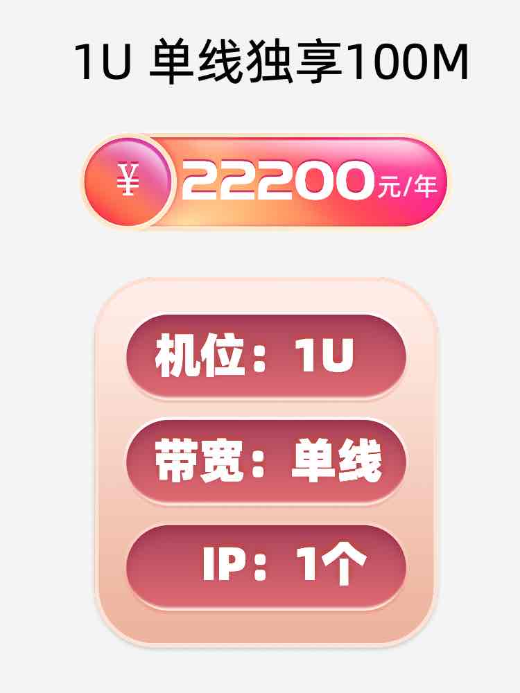 湖北单线100M服务器托管价格